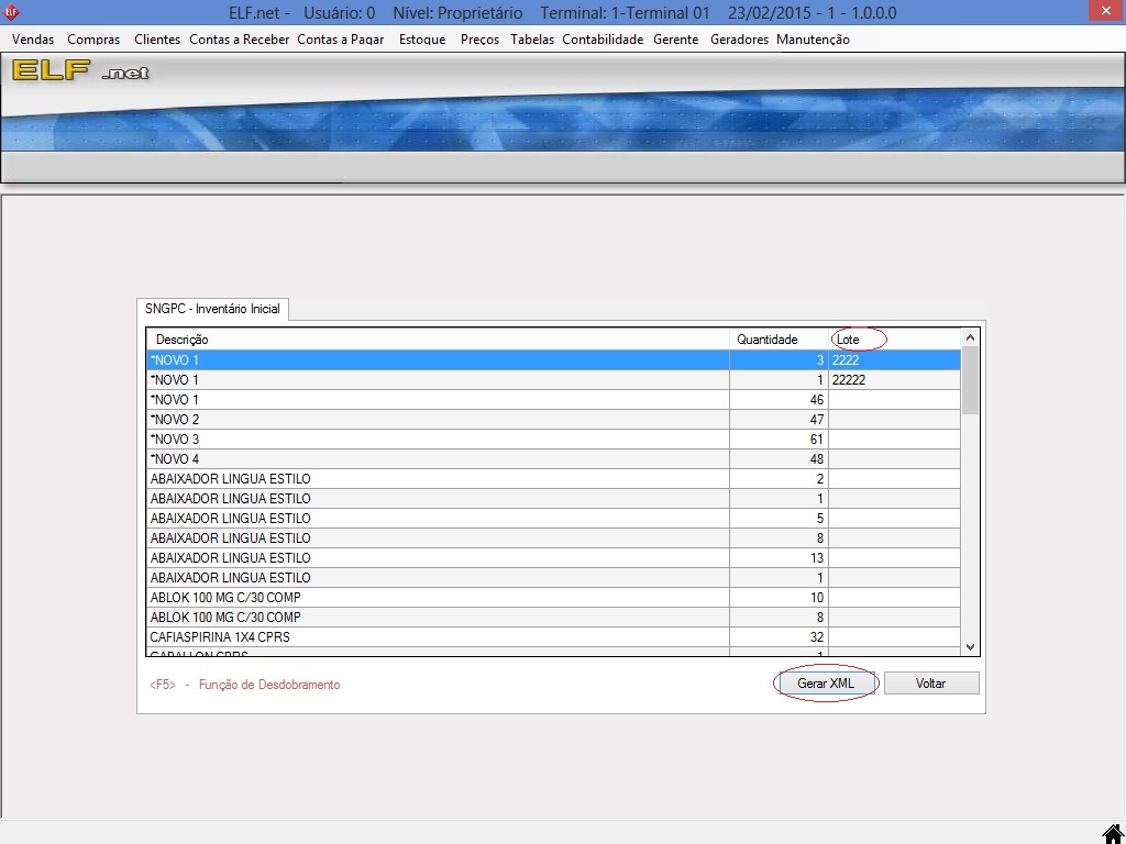 Após informar os lotes, clique em Gerar XML